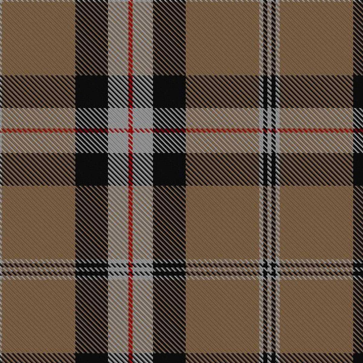 Merrick Camel Tartan Kilt - Image 2
